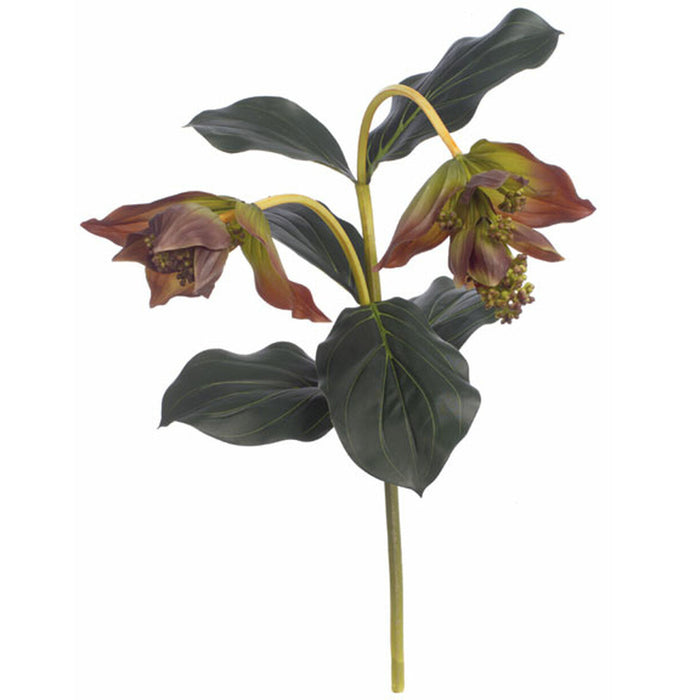 27" Soft Touch Artificial Medinilla Flower Stem -Burgundy (pack of 6) - P60590