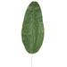 35" Silk Banana Leaf Stem -Green (Pack of 12) - P-63110