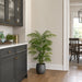 4' Areca Silk Palm Tree w/Pot -Green - P63170