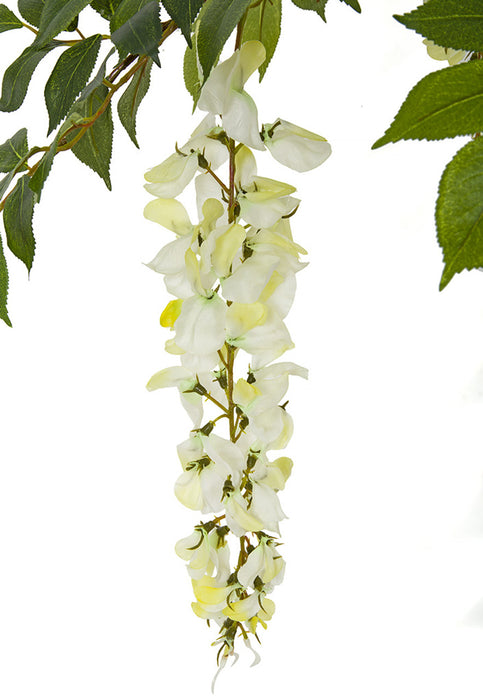 27" Silk Hanging Wisteria Flower Stem -White/Cream (pack of 12) - P7201-WH