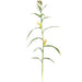 7' Artificial Corn Stalk Branch Stem -Green (pack of 6) - P73000