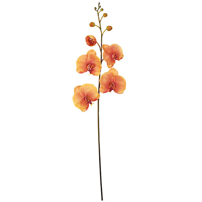 46" Phalaenopsis Orchid Silk Flower Stem -Coral (Pack of 4) - P-82940