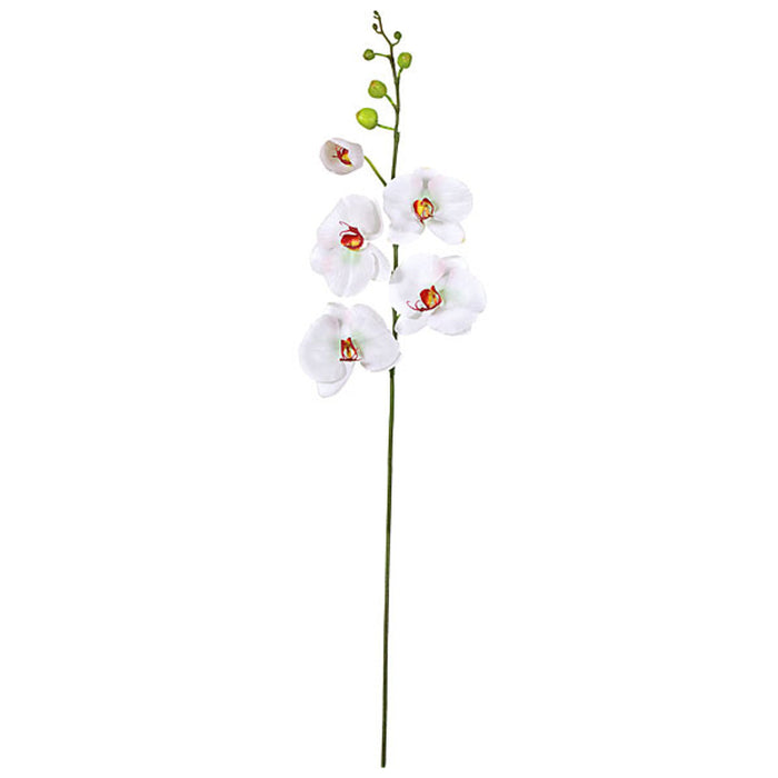 46" Phalaenopsis Orchid Silk Flower Stem -White/Cream (Pack of 4) - P-82945