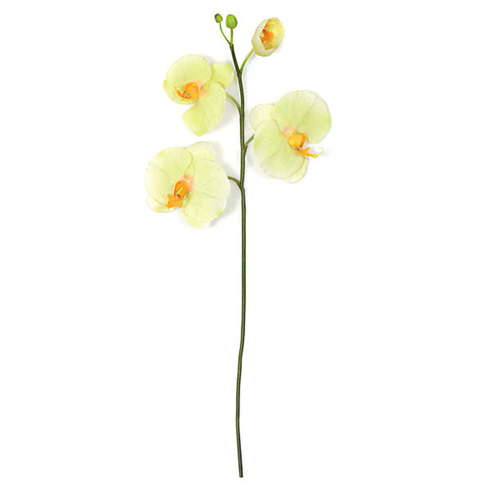 33" Phalaenopsis Orchid Silk Flower Stem -Green/Yellow (Pack of 6) - P-82955