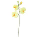 33" Phalaenopsis Orchid Silk Flower Stem -Green/Yellow (Pack of 6) - P-82955