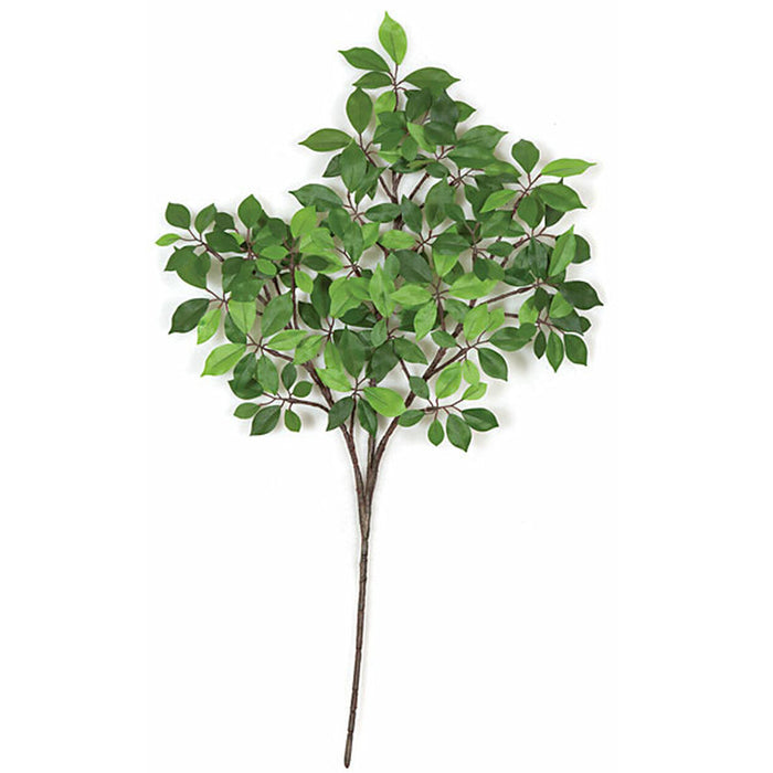 24" Silk Ming Ficus Leaf Stem -2 Tone Green (pack of 12) - P840