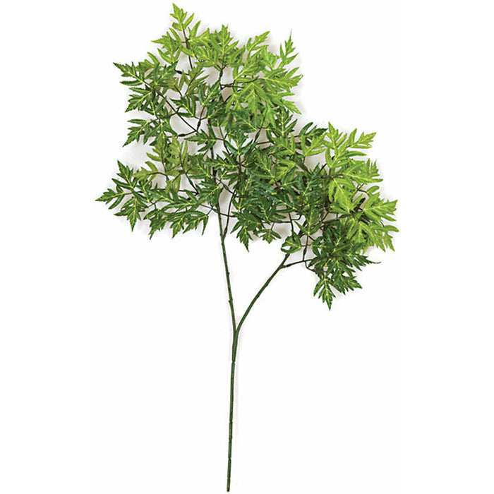 22" Silk Ming Aralia Leaf Stem -2 Tone Green (Pack of 12) - P841