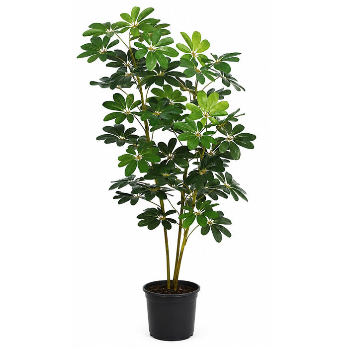 5' Baby Schefflera Silk Tree w/Pot -Green (Pack of 2) - P-84590