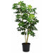 5' Baby Schefflera Silk Tree w/Pot -Green (Pack of 2) - P-84590