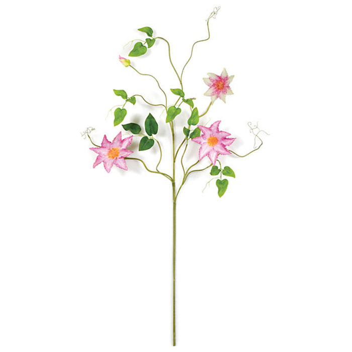 36" Clematis Silk Flower Stem -Pink/Cream (Pack of 6) - P-84620