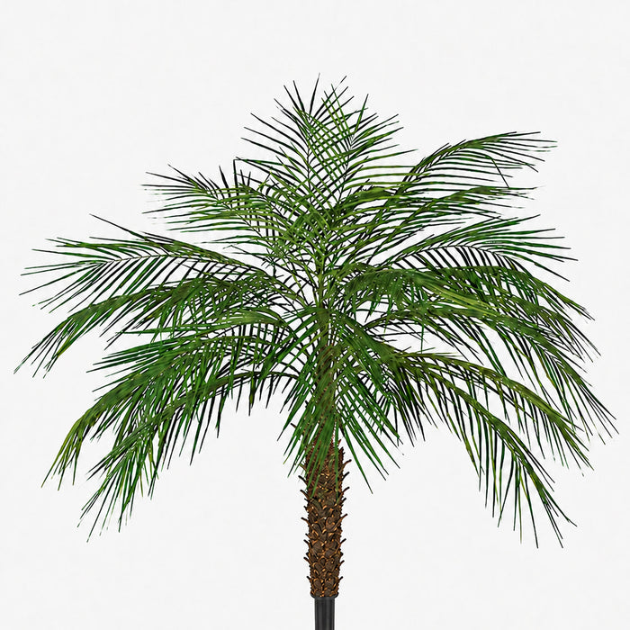 5' Phoenix Silk Palm Leaf Tree -Green - P91718