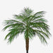5' Phoenix Silk Palm Leaf Tree -Green - P91718