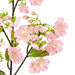 36" Silk Cherry Blossom Flower Stem -Pink (Pack of 12) - P9421