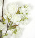 36" Silk Cherry Blossom Flower Stem -White (Pack of 12) - P9422