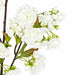 36" Silk Cherry Blossom Flower Stem -White (Pack of 12) - P9422