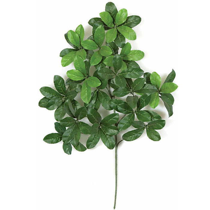 24" Artificial Laurel Leaf Branch Stem -Green (Pack of 12) - P966