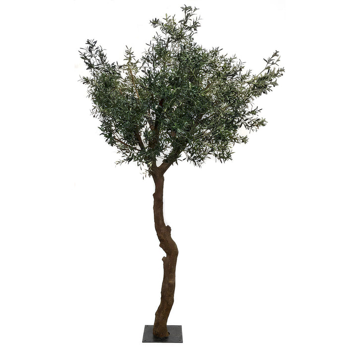 10' Silk Olive Tree w/Metal Plate -Green - P180110