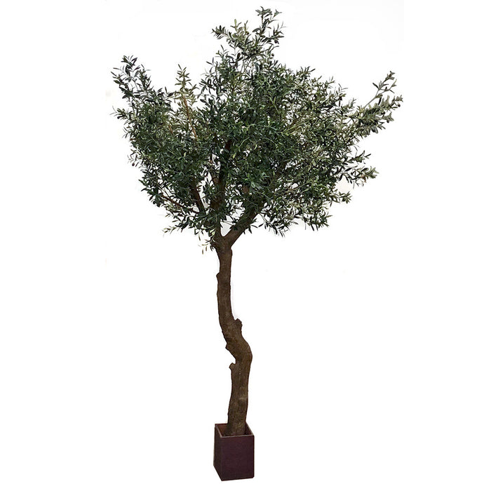 10' Silk Olive Tree w/Wood Pot -Green - P180110