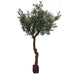 10' Silk Olive Tree w/Wood Pot -Green - P180110