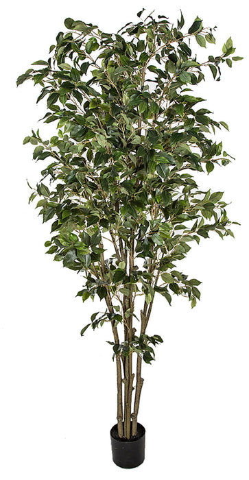 6'6" Deluxe Ficus Silk Tree w/Pot -1,781 Leaves -2 Tone Green - P2291