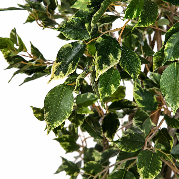 6' Deluxe Ficus Silk Tree w/Pot -1,781 Leaves -Variegated Green/White - P2295