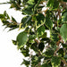 6' Deluxe Ficus Silk Tree w/Pot -1,781 Leaves -Variegated Green/White - P2295