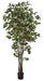 6' Deluxe Ficus Silk Tree w/Pot -1,781 Leaves -Variegated Green/White - P2295