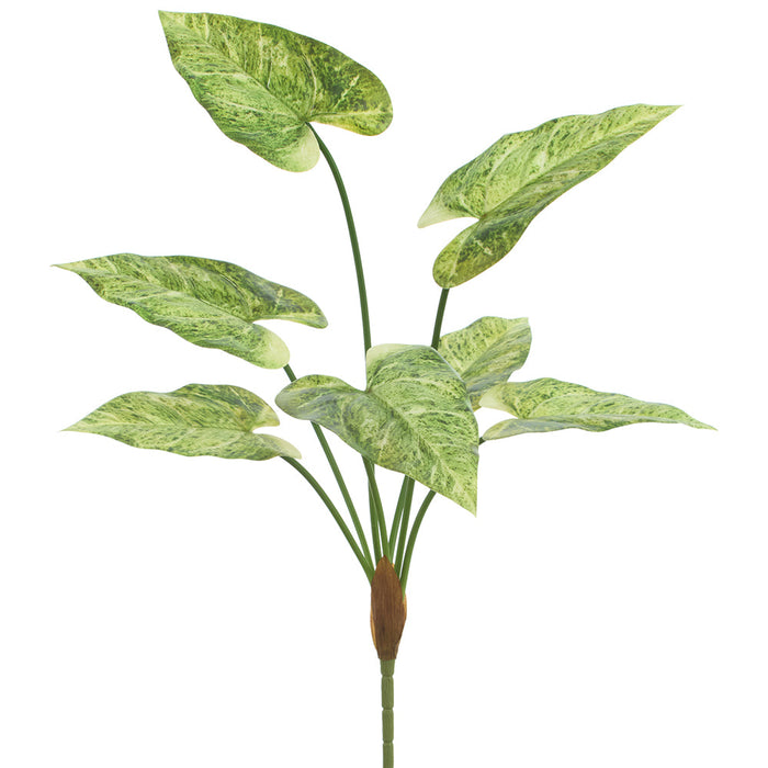 28.5" Arrowhead Leaf Silk Plant -Green/Variegated (Pack of 12) - PBA002-GR/VG