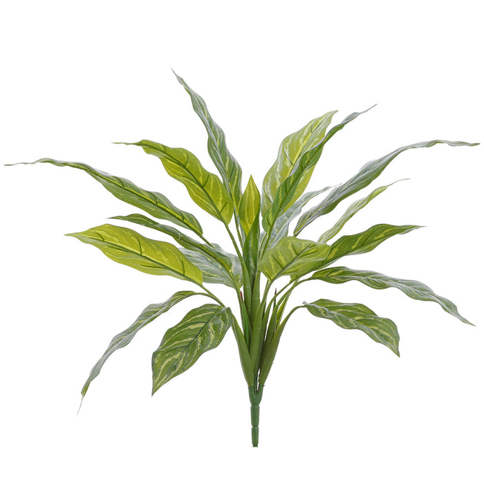 aglaonema queen 17" Aglaonema Silver Queen Silk Plant -Green/Variegated — Silks Are Forever