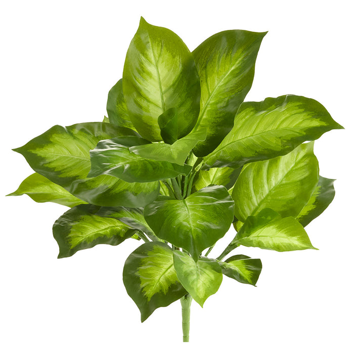 16" Real Touch Aglaonema Silver Queen Silk Plant -Green/Cream (Pack of 6) - PBA257-GR/CR