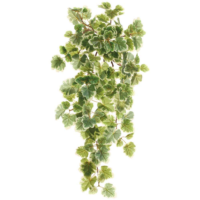 28" Hanging Balfour Aralia Leaf Silk Plant -Green/Variegated (Pack of 12) - PBA465-GR/VG