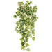 28" Hanging Balfour Aralia Leaf Silk Plant -Green/Variegated (Pack of 12) - PBA465-GR/VG