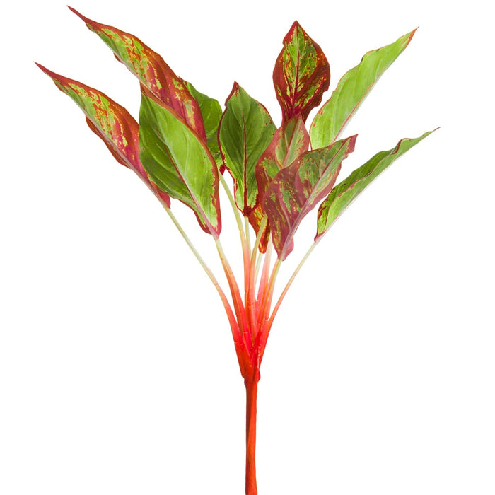 23" Silk Aglaonema Leaf Plant -Green/Red (pack of 12) - PBA789-GR/RE