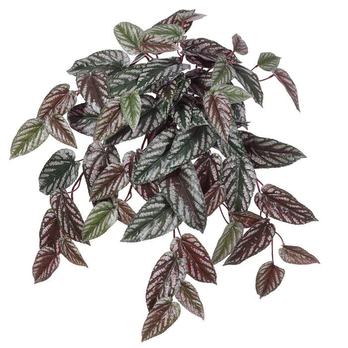 burgundy hanging plant 24" Hanging Rex Begonia Silk Plant -Green/Burgundy — Silks Are Forever