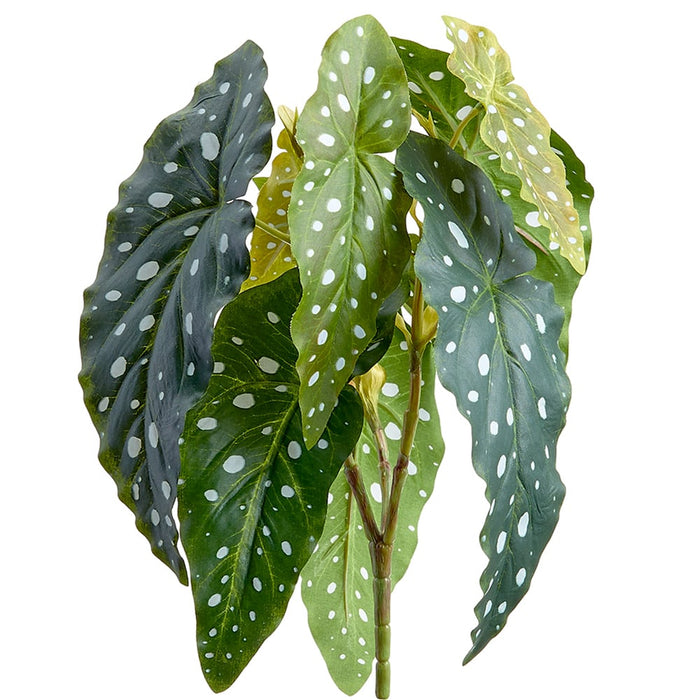 12" Silk Begonia Leaf Plant -Green (pack of 12) - PBB121-GR