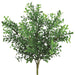 12" Plastic Boxwood Artificial Plant -Green (pack of 24) - PBB207-GR