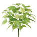 17" Outdoor UV-Resistant Artificial Betel Leaf Plant -Green (Pack of 6) - PBB260-GR