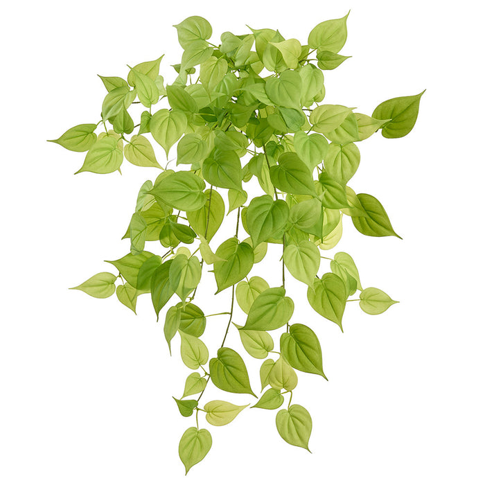 32" Outdoor UV-Resistant Artificial Hanging Betel Leaf Plant -Green (Pack of 6) - PBB261-GR