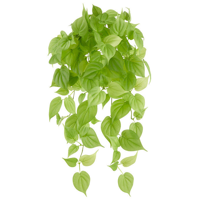 34" Hanging Silk Betel Leaf Plant -Green (Pack of 6) - PBB263-GR
