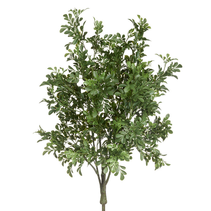 34" Outdoor UV-Resistant Artificial Boxwood Plant -Green (Pack of 4) - PBB285-GR