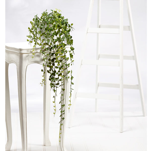 artificial trailing plant in pot 39" Hanging Artificial Button Leaf Plant -Green (Pack of 12)