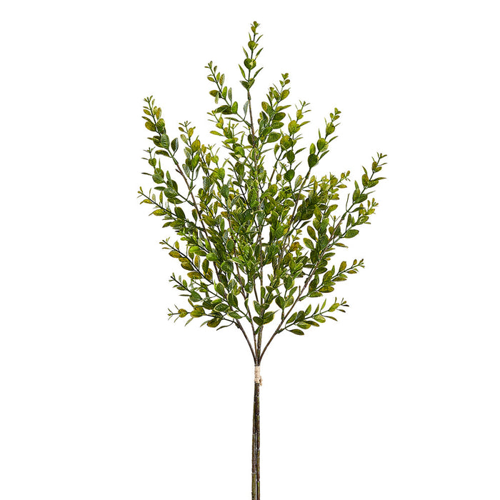 27" Artificial Boxwood Leaf Stem Bundle -Green (Pack of 12) - PBB452-GR