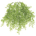 18" Plastic Baby's Tear Fern Plant -Sage/Green (pack of 12) - PBB725-SG/GR