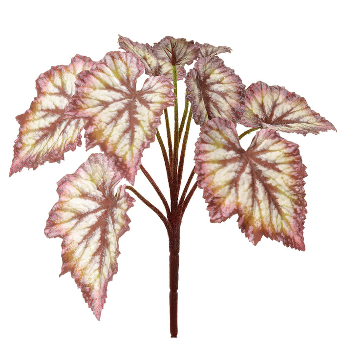 11" Begonia Leaf Silk Plant -Burgundy/Green (pack of 12) - PBB817-BU/GR