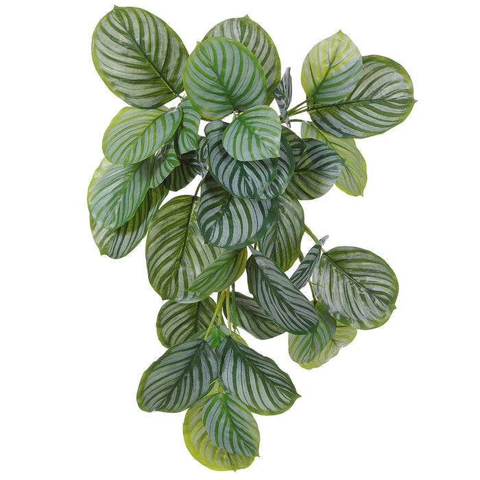 calathea hanging plant 22" Real Touch Hanging Calathea Leaf Artificial Plant -2 Tone Green (Pack of 6)