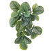 22" Real Touch Hanging Calathea Leaf Artificial Plant -2 Tone Green (Pack of 6) - PBC002-GR/TT