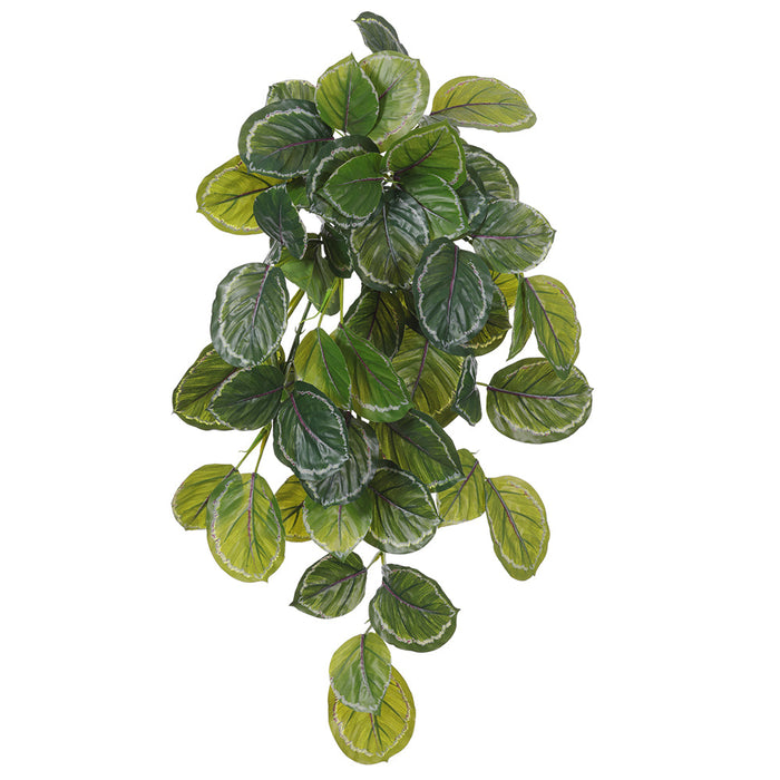 fake plant with hanging leaves 29" Real Touch Hanging Calathea Leaf Artificial Plant -2 Tone Green — Silks Are Forever