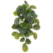 29" Real Touch Hanging Calanthea Leaf Artificail Plant -2 Tone Green (pack of 6) - PBC003-GR/TT