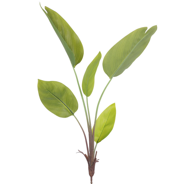 31" Canna Leaf Silk Plant -Green (Pack of 6) - PBC009-GR