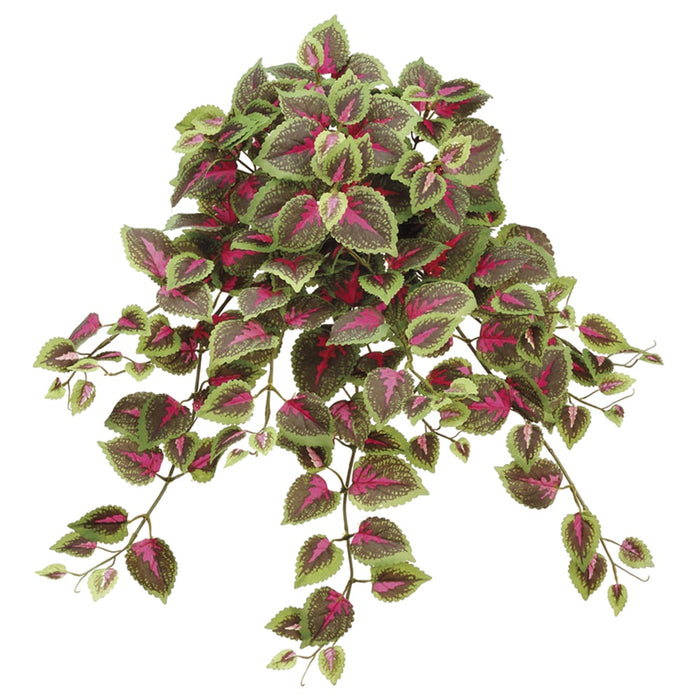 small leaves hanging plants 20" Mini Coleus Silk Hanging Plant -Red/Green